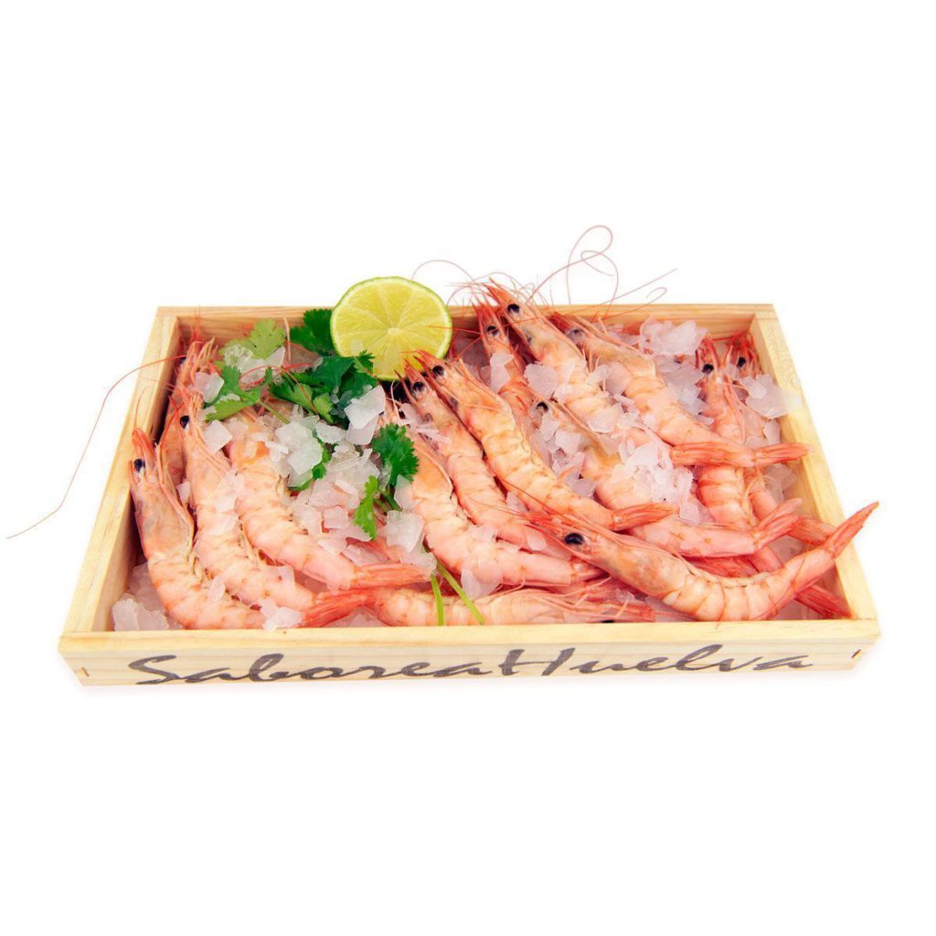 Gamba Blanca - Imagen 4