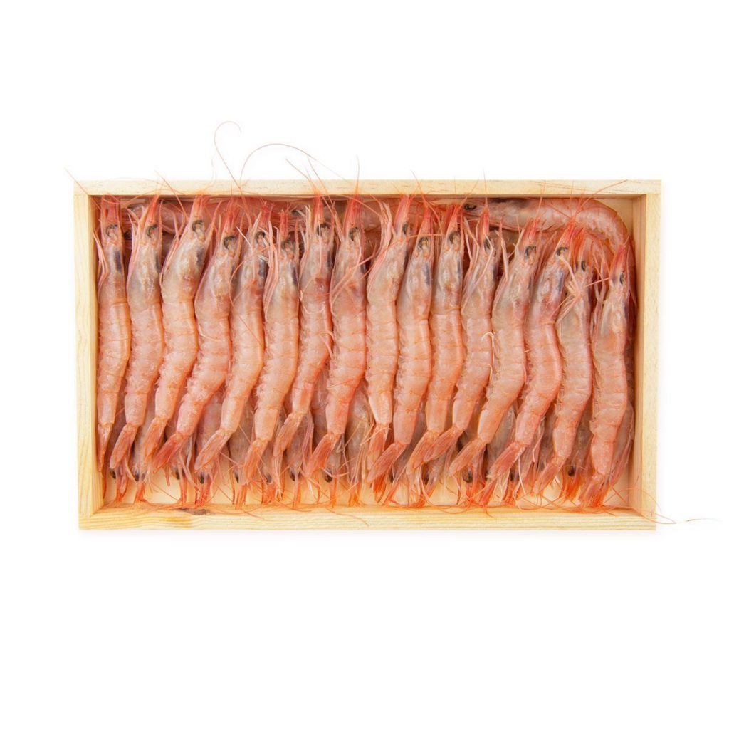Gamba Blanca - Imagen 3