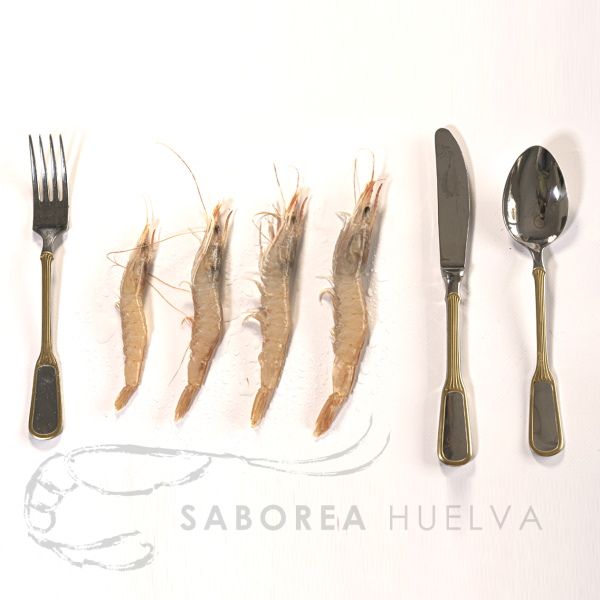 Gamba Blanca - Imagen 2